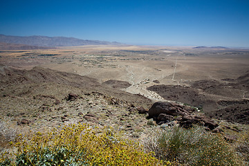 Image showing Yellow bush frame Anza Borrego State Park