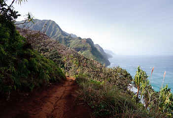 Image showing Kalalau trail on north coast of Kauai