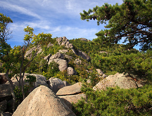 Image showing Old Rag trail in Shenandoah valley