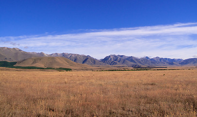 Image showing Maize fields frame New Zealand mountains