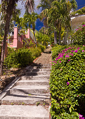 Image showing Steep 99 steps in St Thomas