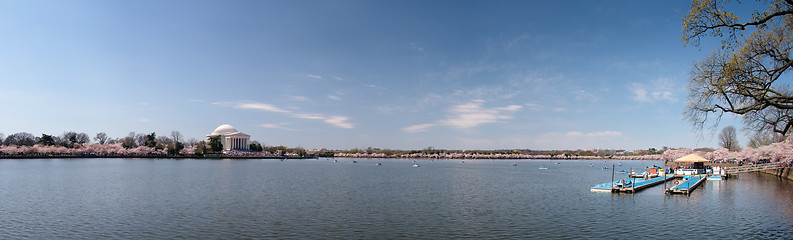 Image showing Panorama of Tidal basin with cherry blossoms