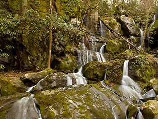 Image showing Place of a Thousand Drips in Smokies