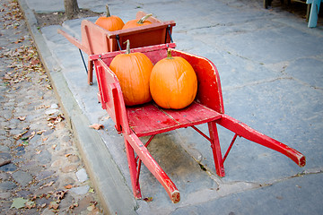 Image showing Pumpkins in red barrow