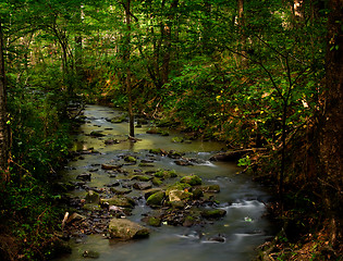 Image showing Burbling brook