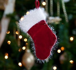 Image showing Fur lined stocking in front of xmas tree