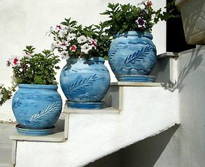 Image showing flower pots