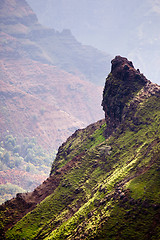 Image showing Backlit view down Waimea Canyon