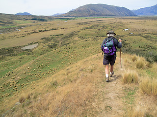 Image showing Hiker walking the hills of New Zealand