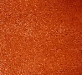 Image showing Close-up of leather surface