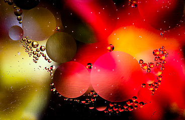 Image showing Macro shot of abstract oil in water droplets