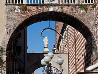 Image showing Whale bone in Verona