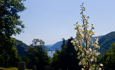 Image showing Old cemetery in Harpers Ferry