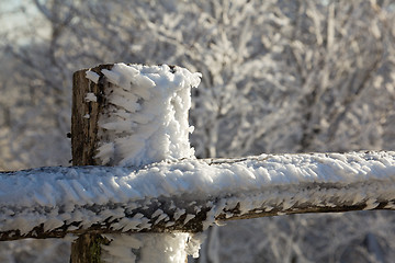 Image showing Frozen snow on wooden fencing