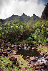 Image showing Small stream flows from Kauai Mountain