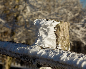 Image showing Frozen snow on wooden fencing