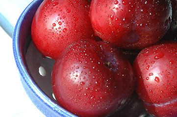 Image showing plums