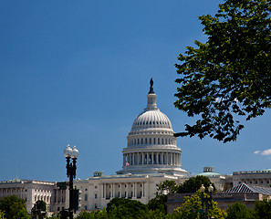 Image showing Capitol Building framed by trees