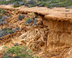 Image showing Collapsed cliffl in Torrey Pines State Park