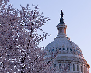 Image showing Sunrise behind the dome of the Capitol in DC