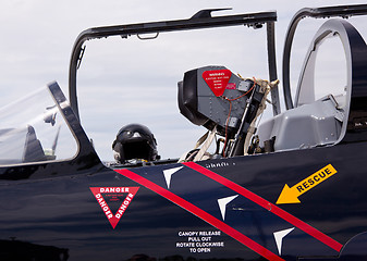 Image showing Cockpit of Albatros