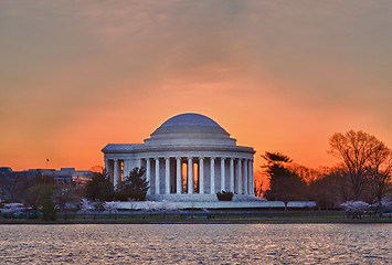 Image showing Cherry Blossom and Jefferson Memorial