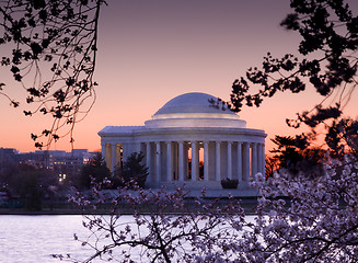 Image showing Cherry Blossom and Jefferson Memorial