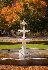 Image showing Leaves fill old fountain