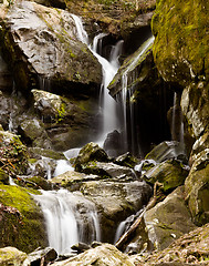 Image showing Place of a Thousand Drips in Smokies