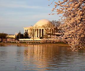 Image showing Jefferson Memorial behind cherry blossom