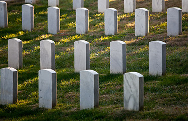 Image showing Row of grave stones in Arlington