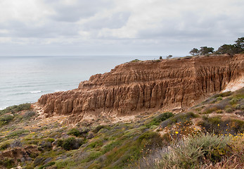 Image showing Cliffs off Torrey Pines state park