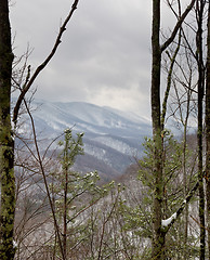 Image showing Snowy hike in Smoky Mountains