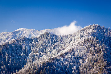 Image showing Mount leconte in snow in smokies