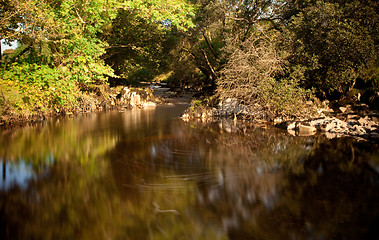 Image showing Slow motion water in secluded river