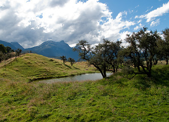 Image showing Rolling countryside in New Zealand