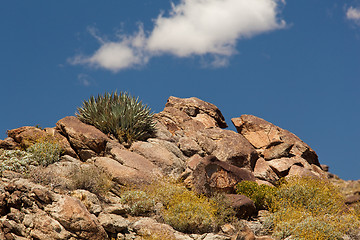 Image showing Overview of Anza Borrego State Park