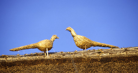 Image showing Thatched Birds on roof