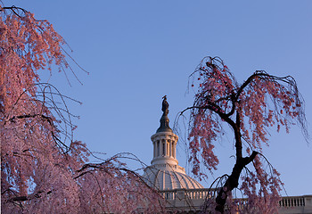 Image showing Sunrise behind the dome of the Capitol in DC