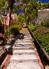 Image showing Steep 99 steps in St Thomas