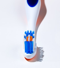 Image showing End view of toothbrush head and bristles