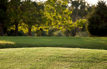 Image showing Backlit view of lawn with background trees