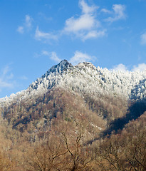 Image showing Chimney Tops in snow in smokies