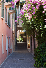 Image showing Narrow street in Gardone
