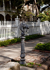 Image showing Horse head on pillar for securing horse