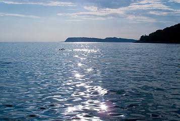 Image showing Swimmer across ocean