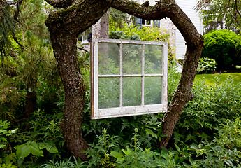 Image showing Faded painted window frame in garden