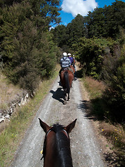 Image showing Horse ride into the countryside