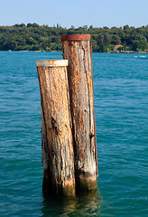 Image showing Wood piles in Lake Garda