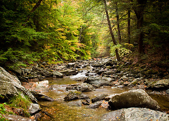 Image showing Water rushing down river